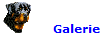 Galerie